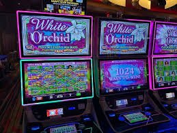 Pengingat pentingnya pengelolaan anggaran dan waktu bermain Mahjong Online secara bijak